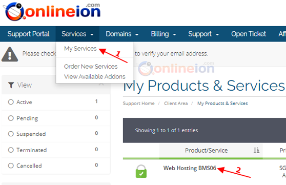 cPanel Access